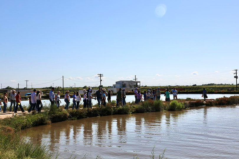 FallTour4 Young farmers, ranchers learn about Coastal Bend ag on Fall Tour A look at beef cattle, aquaculture, specialty crops and the challenges of farming and ranching were a part of the 2025 TFB YF&R Fall Tour held in the Coastal Bend.