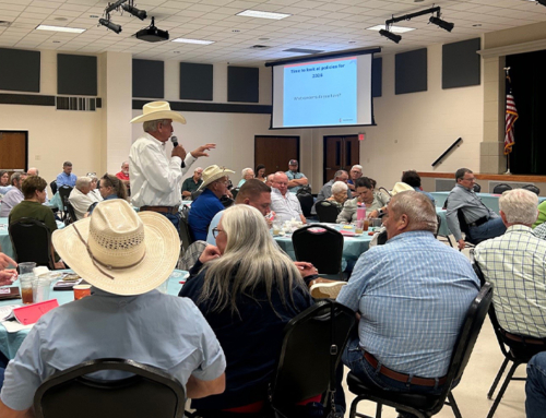 Members discuss Texas Farm Bureau policy for 2026