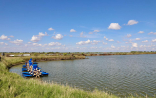 Texas aquaculture shows steady growth across multiple sectors Texas aquaculture has shown growth over the past five years, despite federal reports indicating a decline.