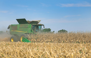 Central Texas farmers see record corn yields amid market pressures Timely rains and cooler summer temperatures pushed Central Texas corn yields higher than farmers expected.