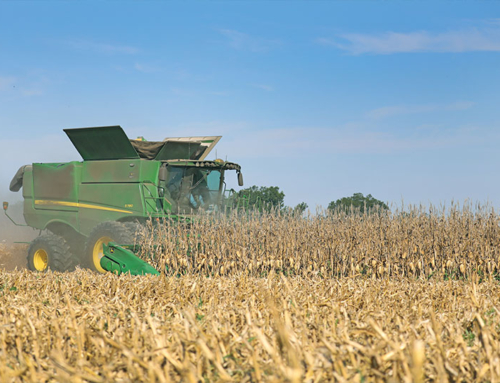 Central Texas farmers see record corn yields amid market pressures