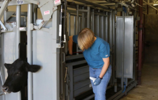 USDA announces plan to address rural veterinarian shortage USDA announced its Rural Veterinary Action Plan to increase the number of rural food animal veterinarians across the U.S. and recruit new veterinarians.