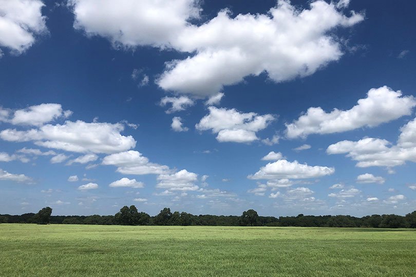 Report shows agricultural land values hit record high U.S. agricultural land values and cropland cash rents have reached record highs, according to the USDA’s Land Values 2025 Summary report.