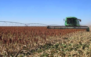 “Safety First – Avoid the Worst” is the theme of this year’s National Farm Safety and Health Week, which is set for Sept. 21-27. Free webinars will be hosted each day next week.