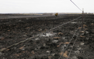 USDA to provide $1 billion in disaster relief for livestock producers Eligible livestock producers can sign up for disaster recovery assistance through USDA’s Emergency Livestock Relief Program for 2023 and 2024 Flood and Wildfire to help offset increased supplemental feed costs.