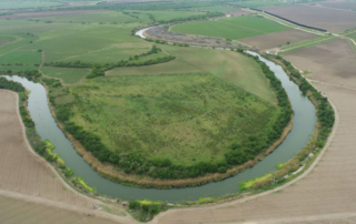 Lawmaker encourages water treaty inclusion in trade agreement A U.S. Congresswoman from Texas is urging the U.S. Trade Representative to include the 1944 Water Treaty, and provisions that ensure its enforcement, in the upcoming review of the USMCA trade deal.