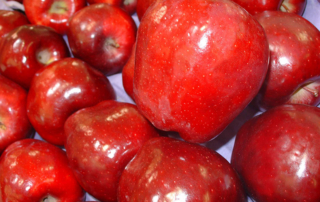 Texas students learn how apples grow through Farm From School Texas students got a firsthand look at how apples grow during a virtual Farm From School visit with Idalou Harvest Company.