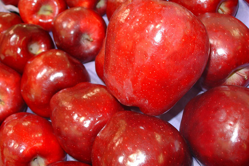 Texas students learn how apples grow through Farm From School Texas students got a firsthand look at how apples grow during a virtual Farm From School visit with Idalou Harvest Company.