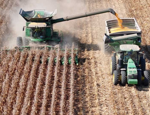 Farmers ask for help to survive economic challenges