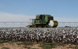 Bill would create harvest incentive insurance for cotton farmers Legislation recently introduced in Congress aims to strengthen the cotton industry and protect critical processing infrastructure across rural America.