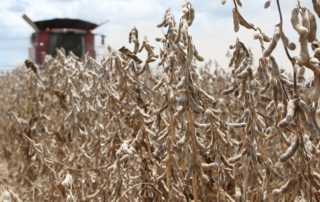 Rollins addresses potential aid for farmers A potential aid package for U.S. farmers appears to be on hold.
