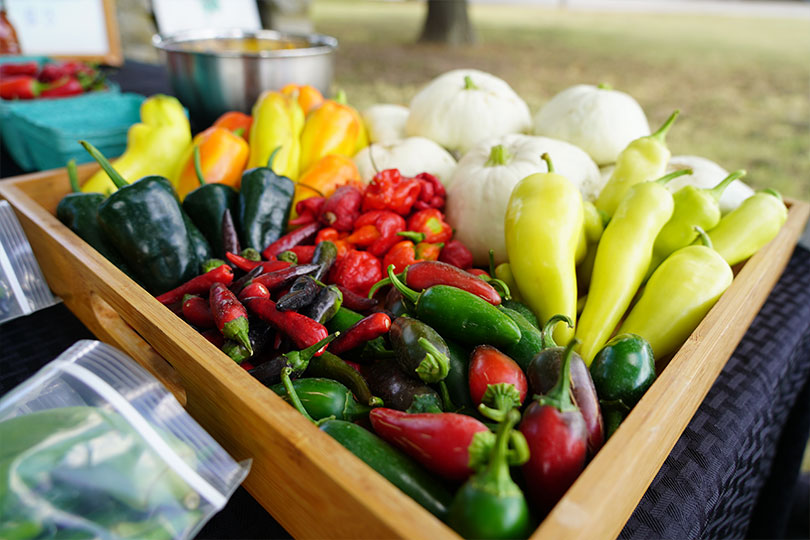 Henson3 Hensons are finalists in 2025 TFB Excellence in Ag Contest Jacob and Laura Henson are finalists in the 2025 Texas Farm Bureau Excellence in Agriculture Contest.