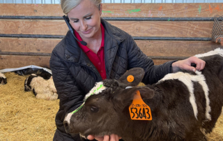 Students take virtual tour of dairy farm through TFB program Texas students virtually toured a modern dairy farm during a recent Farm From School visit.