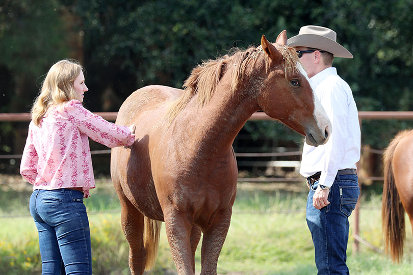 Yeatts are finalists in 2025 TFB Excellence in Ag contest Ryan and Madilyn Yeatts are finalists in the Excellence in Agriculture Contest. Ryan is an operations analyst for Standard Meat Company, and Madilyn is an equine and outside sales specialist for D&L Farm and Home.