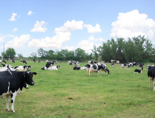 Whole milk in schools could provide boost to farm economy