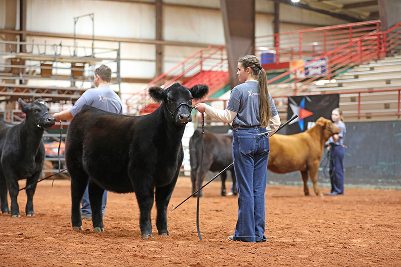 Branded by the Bureau rounds up support for stock show youth What began as an idea among county Farm Bureau leaders came to life in the show ring during the inaugural District 3 Branded by the Bureau Stock Show.