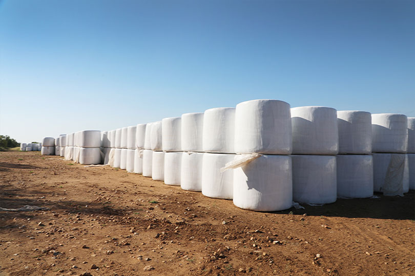 2025 Outstanding YF&R Finalist: Colin and Joy Graff Meet Colin and Joy Graff. They grow hay and forage crops to supply feedlots and exotic ranches across Texas. They also own a ranch improvement business and raise cattle. They’re finalists in our Outstanding Young Farmer & Rancher contest.