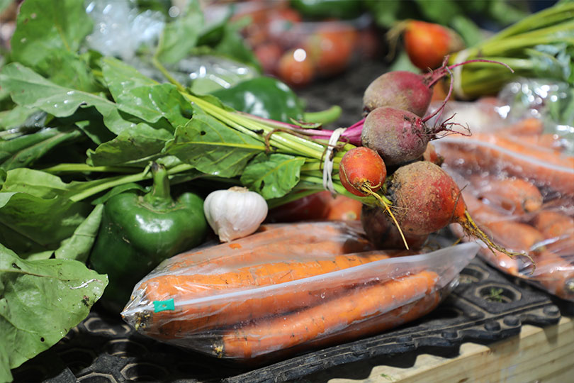 2025 Outstanding YF&R Finalist: Layton and Jessi Schur Meet Layton and Jessi Schur. They have a direct-to-consumer retail store in Hale County, providing their community with fresh produce and beef from their farm and market garden. The Schurs are finalists in our Outstanding Young Farmer & Rancher contest.