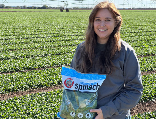 Farm From School Fall 2025 wraps up with spinach farm visit