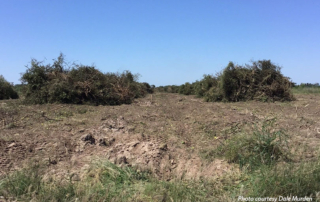 Mexico agrees to deliver the water it owes to the U.S. The United States and Mexico reached an agreement last week to resolve a long-running water dispute under the 1944 Water Treaty.