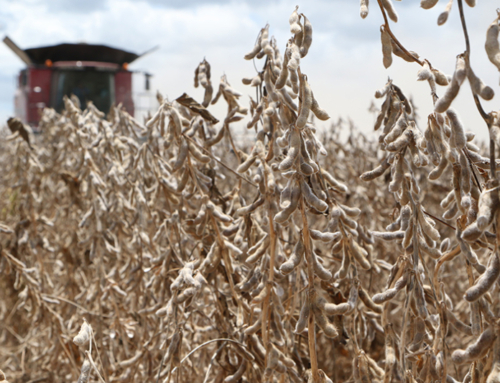 Biofuel production could boost farm economy