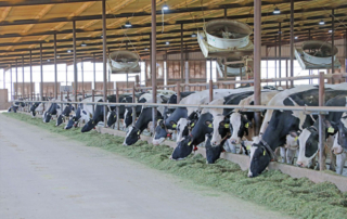 Dairy Margin Coverage enrollment for 2026 opens USDA announced expanded enrollment for the 2026 Dairy Margin Coverage program. The enrollment period ends Feb. 26.
