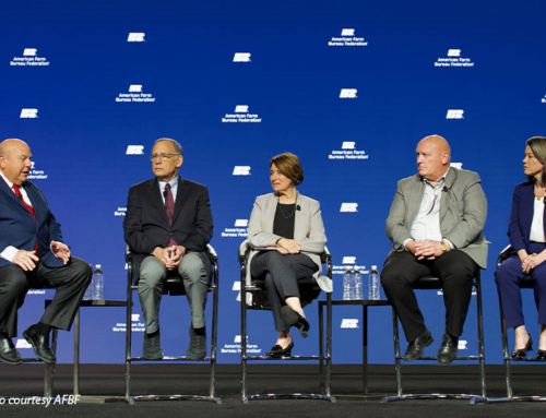 Farm bill, ag labor among ag committee top priorities