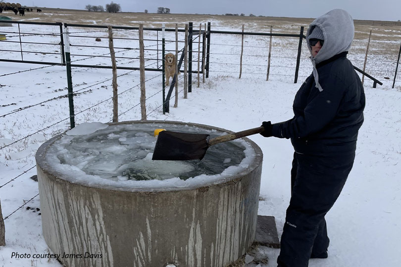 Winter_James-Davis3 Ranchers keep working through winter storm Winter Storm Fern swept across Texas over the weekend, bringing below-freezing temperatures, snow, sleet and ice that blanketed fields, pastures and roadways.