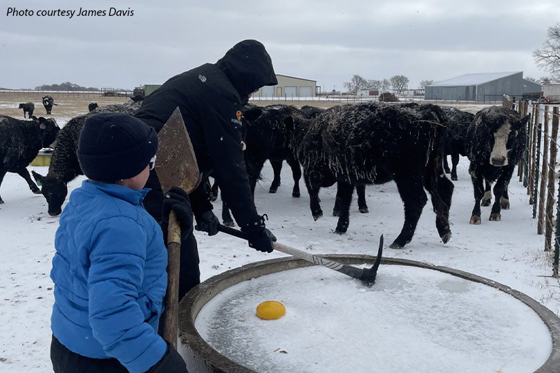 Winter_JamesDavis-(1) Ranchers keep working through winter storm Winter Storm Fern swept across Texas over the weekend, bringing below-freezing temperatures, snow, sleet and ice that blanketed fields, pastures and roadways.