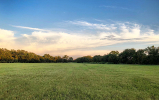 New USDA portal enables reporting foreign-owned land A new USDA online portal lets people report agricultural land purchases by foreign persons, including businesses and governments.