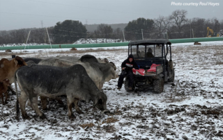 Texas ranchers weather winter storm It wasn’t as severe as Winter Storm Uri, but this year’s cold blast still brought challenges for Texas farmers and ranchers.
