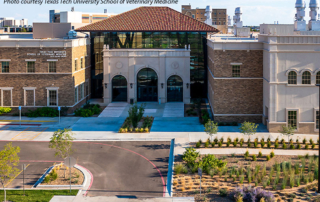 USDA awards Texas Tech University’s veterinary school grant Texas Tech University’s School of Veterinary Medicine was awarded a $250,000 Veterinary Service Grant from the U.S. Department of Agriculture (USDA) that will address the nationwide shortage of food animal veterinarians.