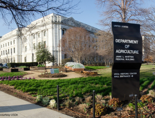 Benavidez to serve as USDA chief economist