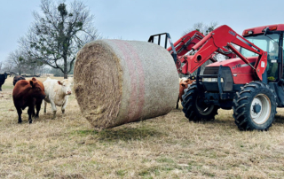 Texas farmers, ranchers brace for winter storm Texas farmers and ranchers are taking steps to protect livestock and limit potential losses as Winter Storm Fern moves across the U.S.