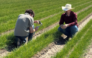 Farm From School brings onion production to K-5 classrooms Students across Texas recently learned how onions are grown during Texas Farm Bureau’s Farm From School Spring 2026 program.
