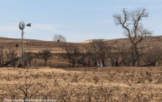 OKFB Foundation for Ag collecting wildfire relief donations The Oklahoma Farm Bureau Foundation for Agriculture is collecting donations to help recovery efforts for rural Oklahomans affected by devastating wildfires that swept across parts of Oklahoma this month.
