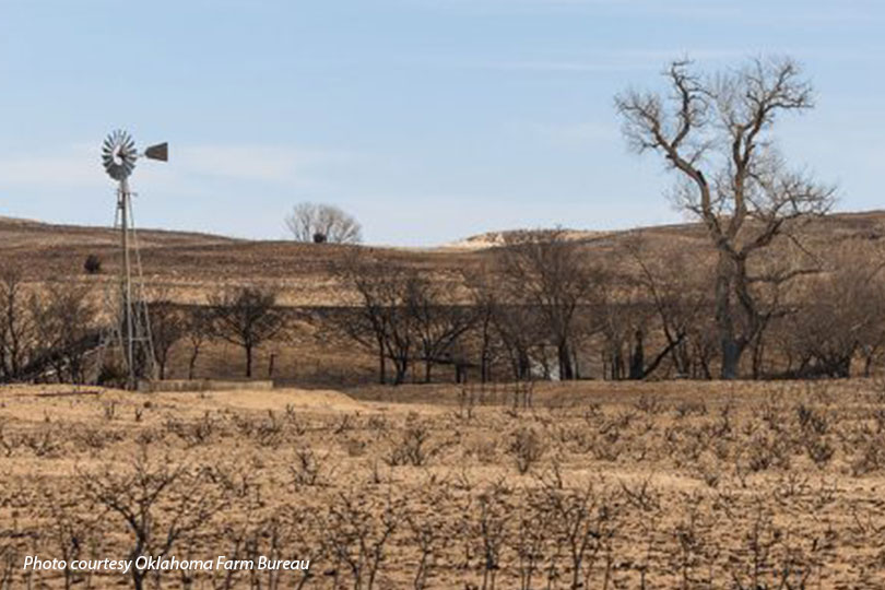 OKFB Foundation for Ag collecting wildfire relief donations The Oklahoma Farm Bureau Foundation for Agriculture is collecting donations to help recovery efforts for rural Oklahomans affected by devastating wildfires that swept across parts of Oklahoma this month.