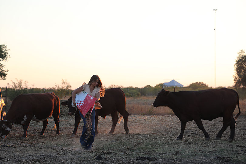 Bipartisan resolution honors women’s role in agriculture The U.S. Senate passed a bipartisan resolution recognizing 2026 as the International Year of the Woman Farmer.