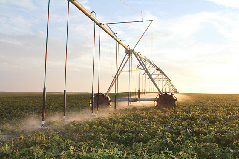Applications open for ag water conservation grants Applications for the Texas Water Development Board’s 2026 Agricultural Water Conservation Grants are open through March 18.