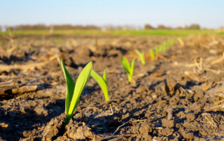 Global tensions threaten fertilizer supply chain Farmers across the country could face rising costs and potential supply shortages if global fertilizer shipments continue to be disrupted, according to AFBF.