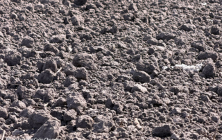 Weather uncertainty, dry conditions shape spring planting outlook Drought conditions persist across Texas and rainfall remains uncertain, but farmers are cautiously optimistic for spring planting.