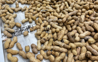 K-5 Texas students get inside look at peanut shelling through TFB program Students across Texas learned how peanuts travel from the field to their favorite snacks during the March Farm From School program.