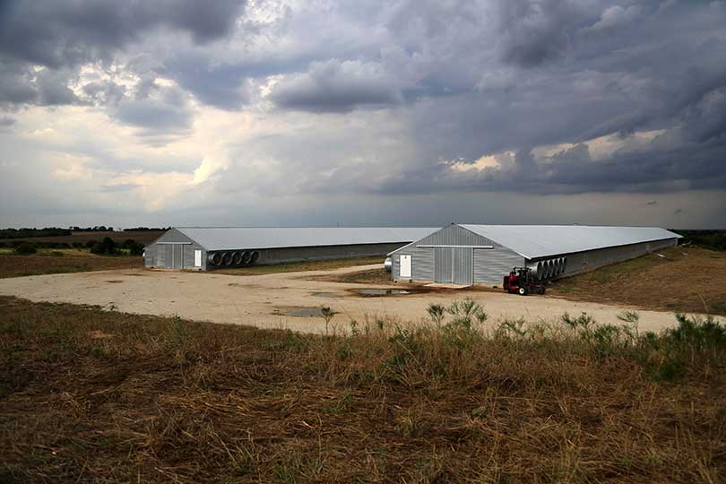 USDA proposes delaying poultry tournament system rule USDA is proposing to delay implementation of a rule aimed at reforming how contract poultry growers are paid, pushing the effective date to Dec. 31, 2027.