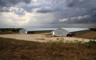 Chicken prices could shift as production concerns grow Chicken prices have fallen slightly since the highs in 2025, but experts say the trend may not last with slowing production, disease concerns and fertility challenges having a potential impact.