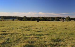 Rural land values climb, market steadies across Texas Rural land values in Texas reached a new high in 2025, even as sales activity showed signs of stabilizing after several slower years, according to a new report.