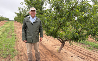 Texas students learn about peaches through Farm From School Texas students learned about peaches virtually through Texas Farm Bureau’s Farm From School program.
