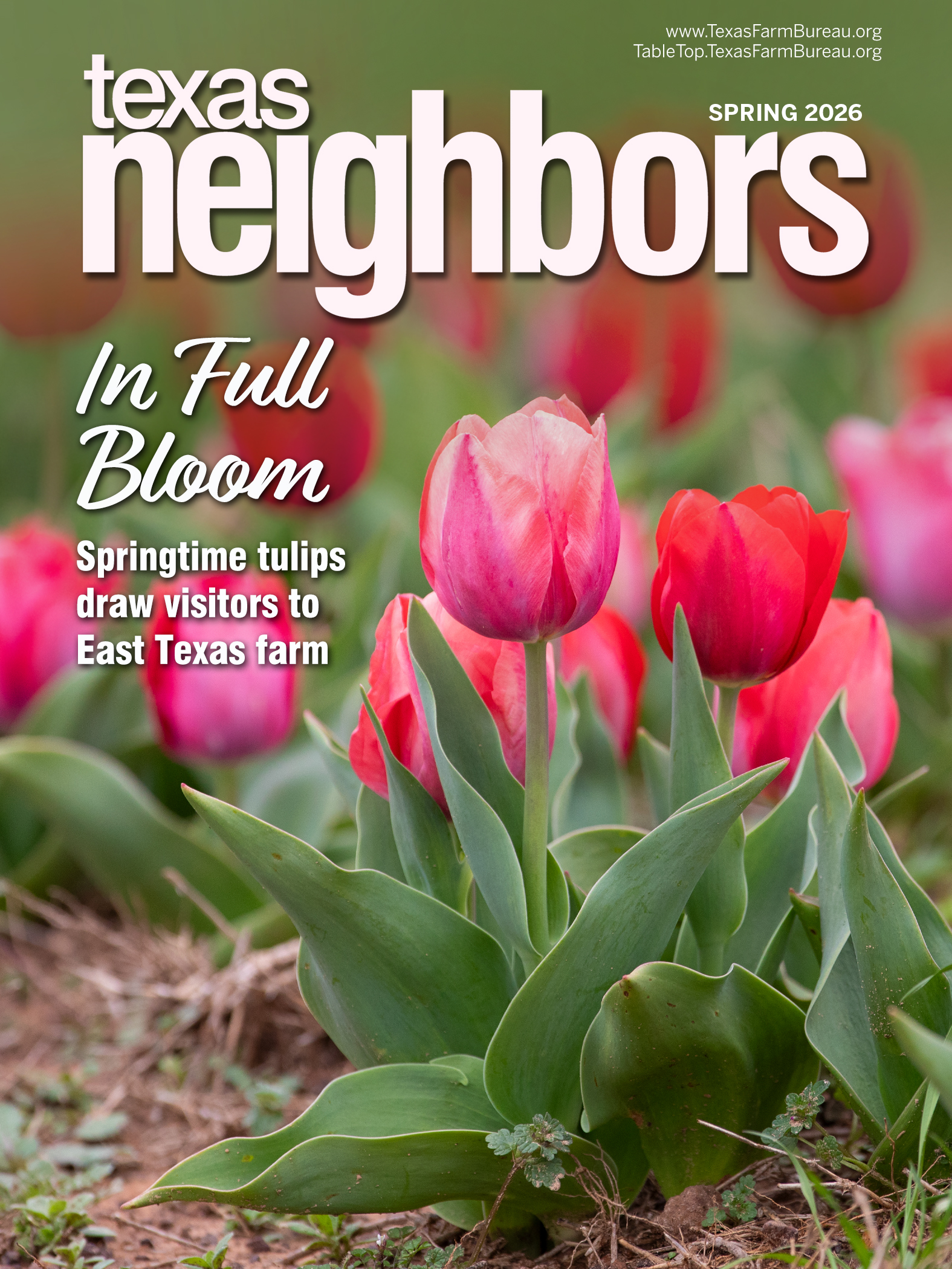 Texas Neighbors | Spring 2026