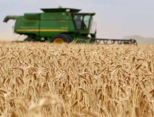 Agriculture feeds U.S., Texas economy