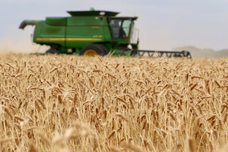 Agriculture feeds U.S., Texas economy The most recent Feeding the Economy report shows how U.S. food and agriculture continue to impact the nation’s economy, contributes trillions of dollars in output, supports millions of jobs and generates significant tax revenue.
