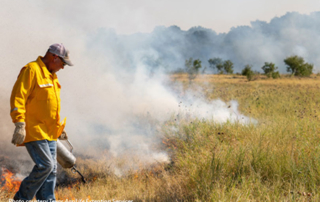 AgriLife Extension launches redesigned prescribed burn school Texas A&M AgriLife Extension Service launched a redesigned version of its online prescribed burn school.